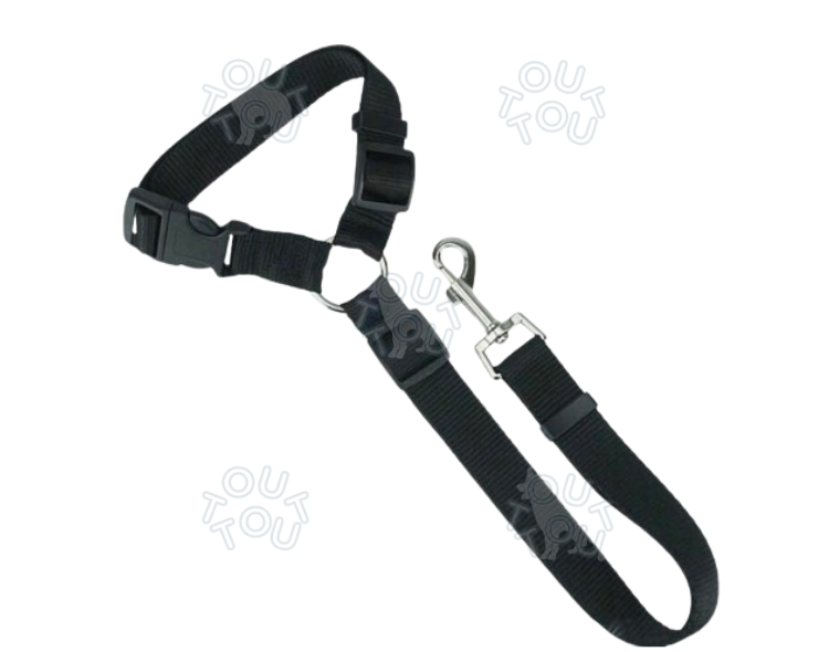 Head rest safety belt