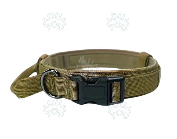 tactical_collar-1.png