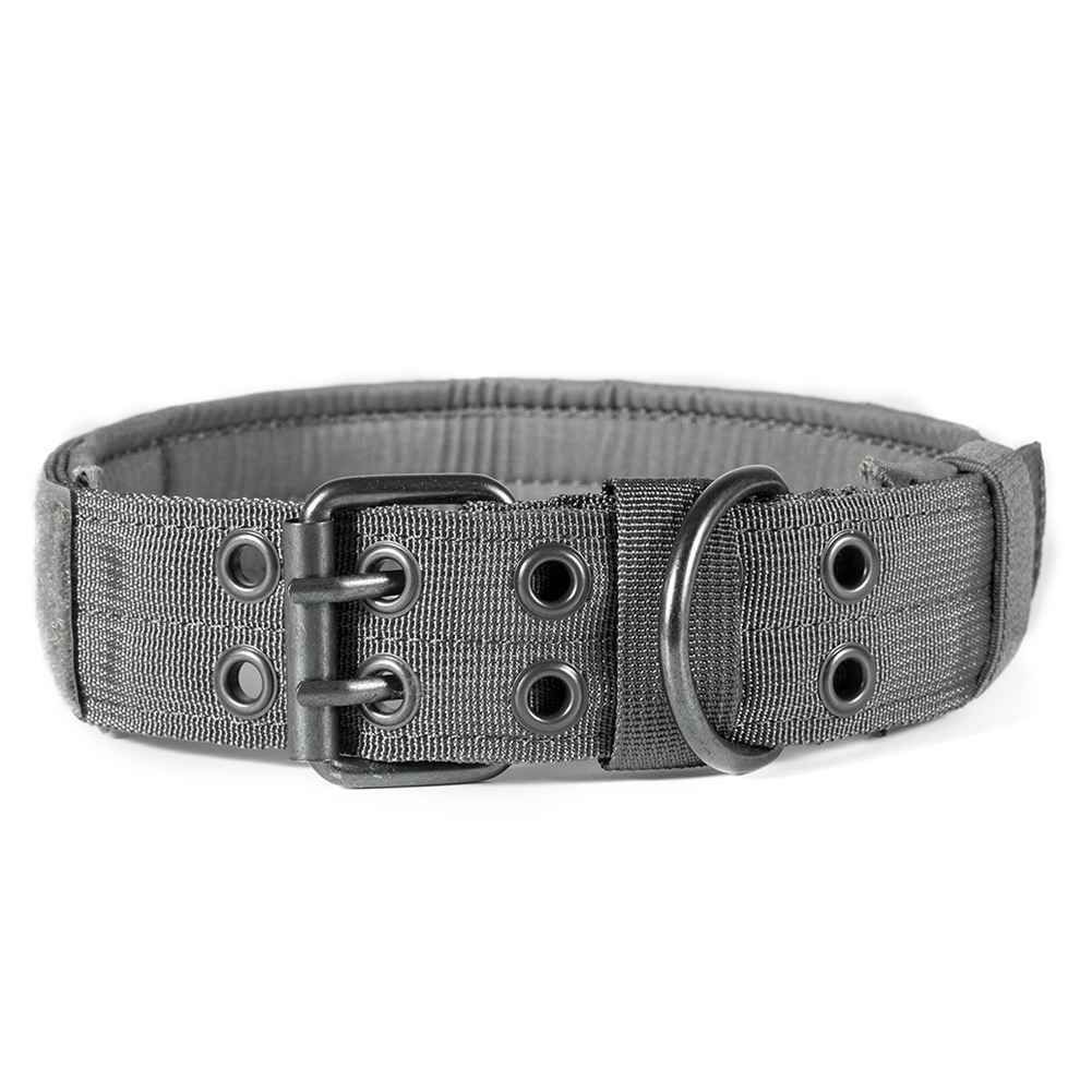 collar02_tg-gbt02-gray1.jpg
