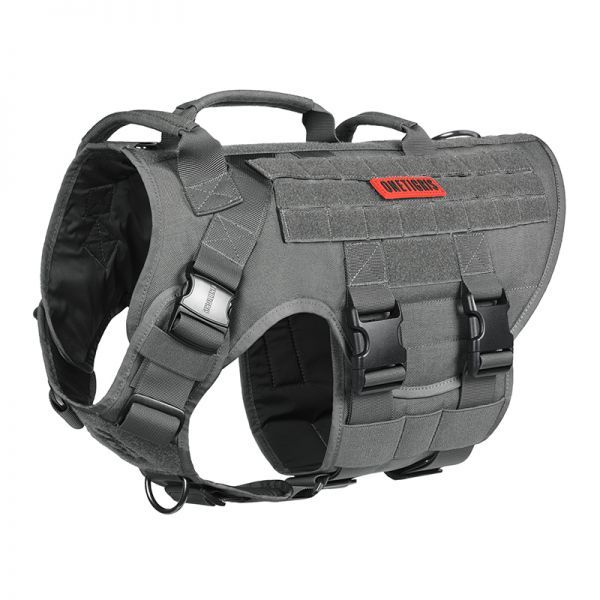 x_destroyer_dg-gbx19a-grey1.jpg